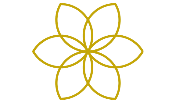 Flor da Vida — símbolo do IBBC